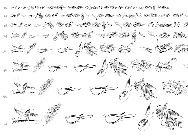 Penmanship Birds font waterfall